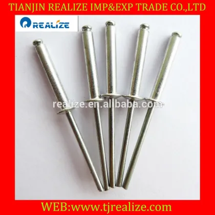 Offer top sale good fasteners Al5050 blind rivet