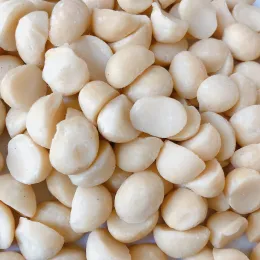 16mm+ No. 4L Macadamia Half kernel