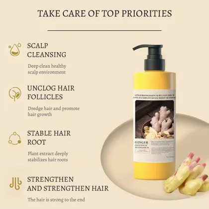 Factory Wholesale Natural Organic Ginger Polygonum Multiflorum Hair Shampoo - 650ml