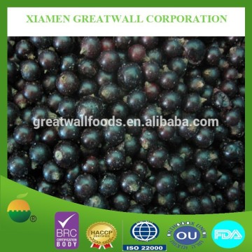 Cultivated frozen black currant