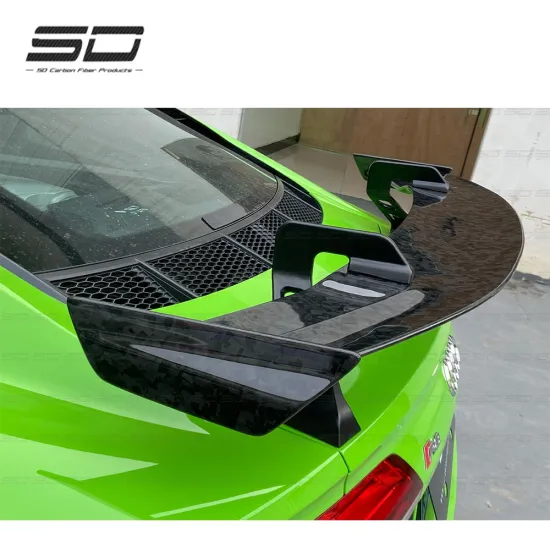 P Style Dry Carbon Fiber Rear Bumper Wing and Spoiler for Audi R8