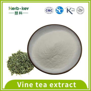 Antioxydant Action Vine Tea Extrait 98% Dihydromyricétine