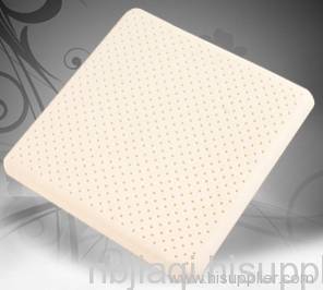 Latex Cushion 