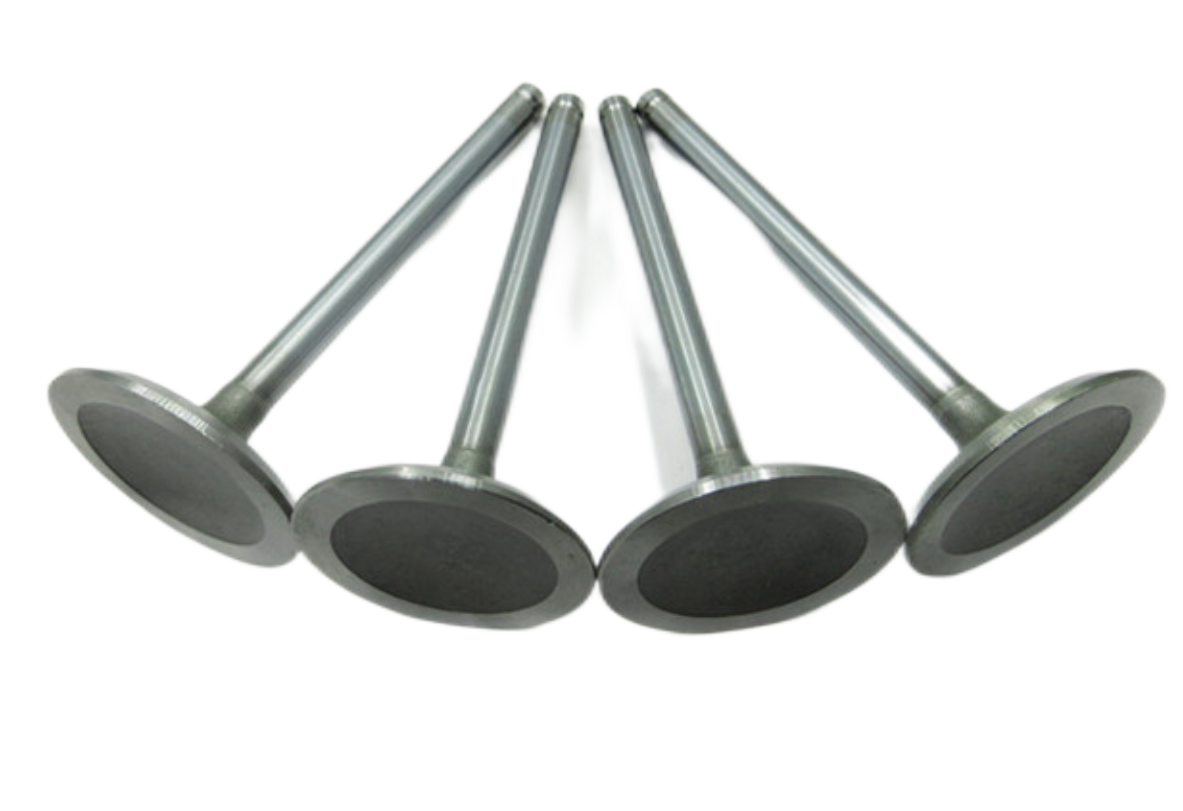 90295011 Intake Valve for Engine