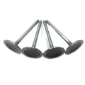 90295011 Intake Valve for Engine