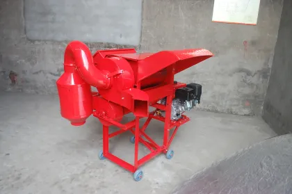 Wheat Grain Food Grade White Wheat Grain Russian