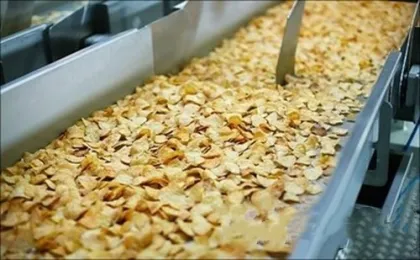 Multi-Layer Industrial Conveyor Mesh Belt Dryer
