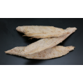 Frozen Precooked Skipjack Tuna Katsuwonus Pelamis Loin