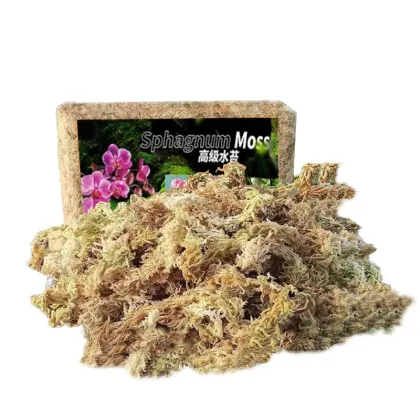 OEM Custom 5KG Phalaenopsis Dendrobium officinale Gardening Materials - Sphagnum Moss for Plant Export