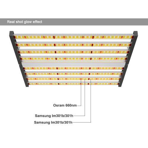 Spektrum spektrum yang dapat dimmable LED lampu tumbuh 640W