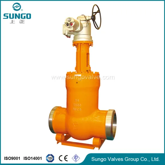 Stainless Steel gate Valves