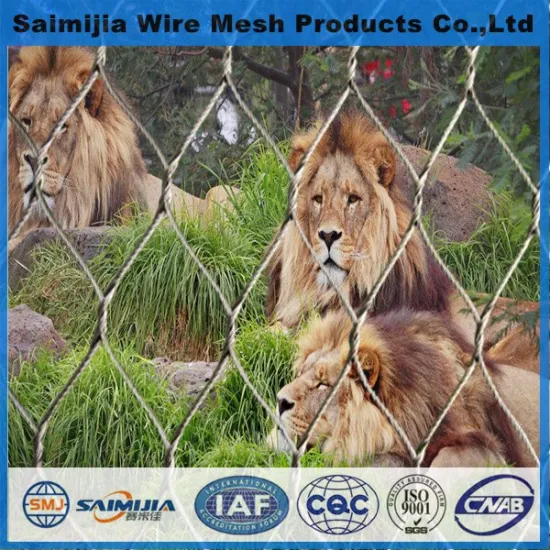 Stainless steel wire rope mesh net,slope stabilization mesh