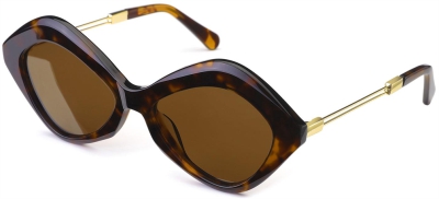 C4 Acetate Sunglasses Tortoiseshell-Gold