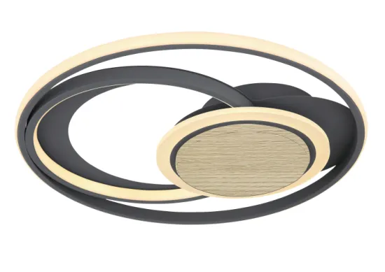 19 Inch LED Flush Mount Circle Ceiling Lamp