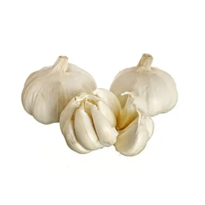 Fresh white garlic price single seed