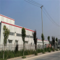 Horsetail extract factory supply