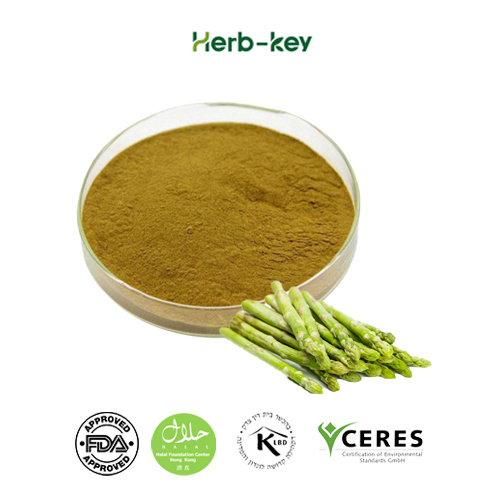 Organic Dried Asparagus Officinalis Extract Powder