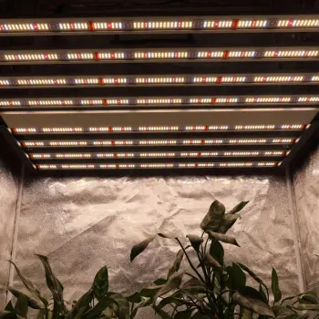 640W LED Grow Light With Samsung UV IR