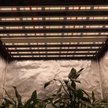 640W LED Grow Light With Samsung UV IR