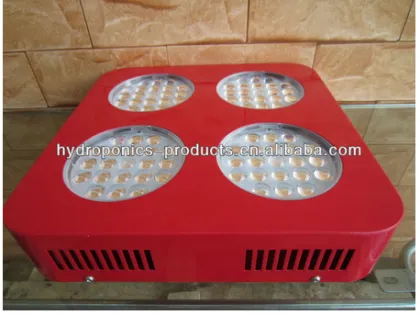 activities grow lights