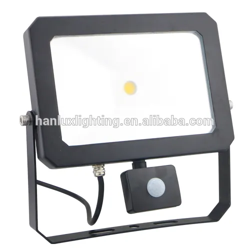 white/ black 30W white cob outdoor LED floodlight IP67 with sensor
