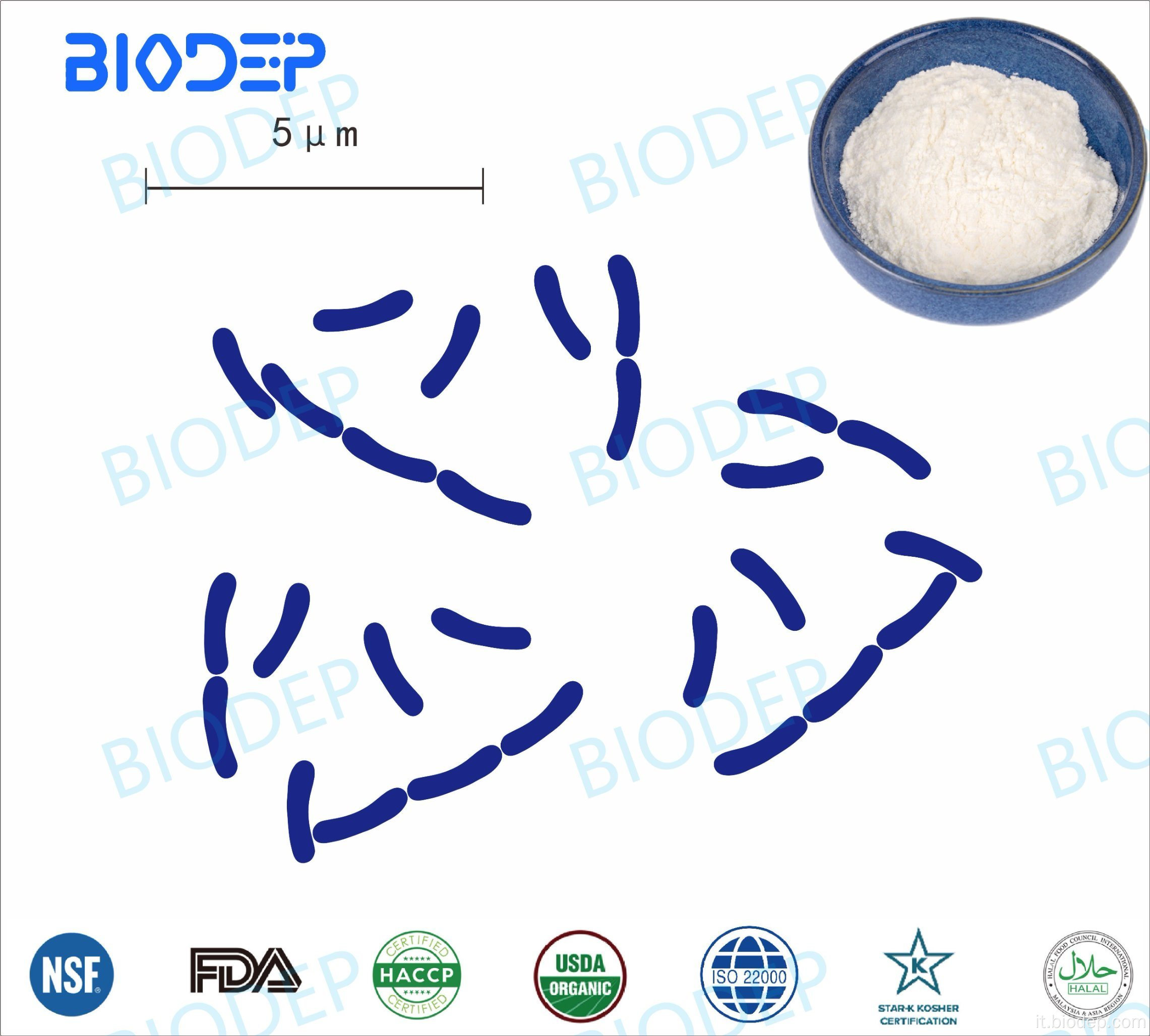 Probiotico Lactobacillus crispatus Private Protection