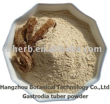 Gastrodiae Rhizoma/Gastrodia Tuber powder, whole, slice