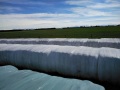 Anti Rat Silage Wrap Film