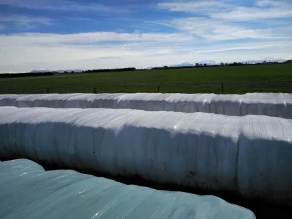 Anti Rat Silage Wrap Film