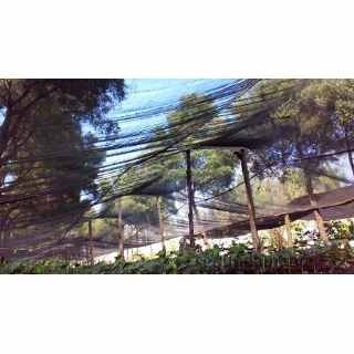 Anti Hail Net for Protect Your Plant, Vegetables, Fruits, etc