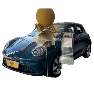 Retro Electric Trend Elf 2025 ORA Good Cat