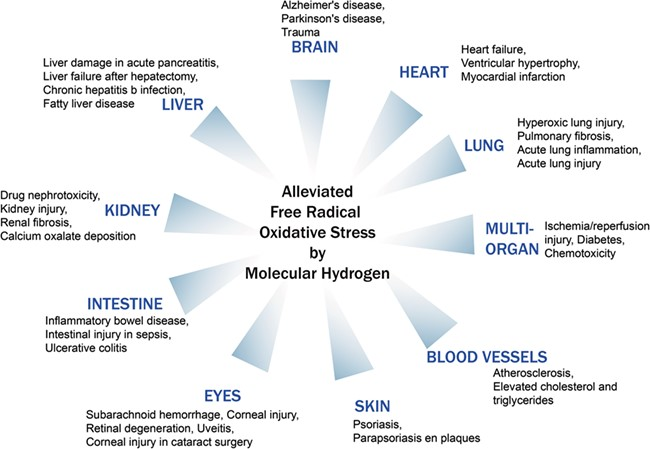 free radical