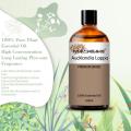 Top Grade 100% Pure Costus Essential Oil Natural Organic Costus Root Oil