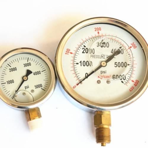 High Quality Stainless Steel Pressure Gauge Waaree / Baumer, High
