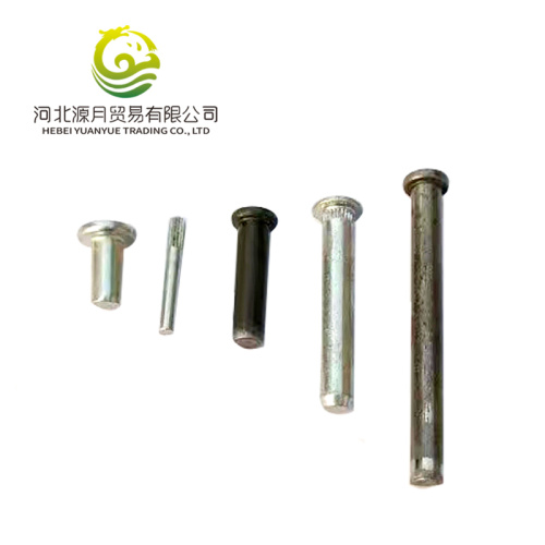 Auto Parts Cold Heading Fasteners Pins