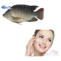 Skin Care Raw Material Hydrolyzed Fish Collagen Peptide