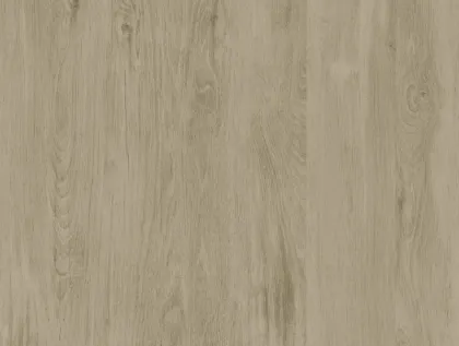 TRP913 Wood look ceramics floor tiles