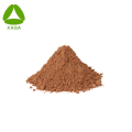OEM -Kapseln Etikett Dong Quai Powder 10: 1 Extrakt