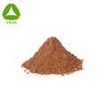 كبسولات OEM الخاصة بمسحوق Dong Quai Powder 10: 1