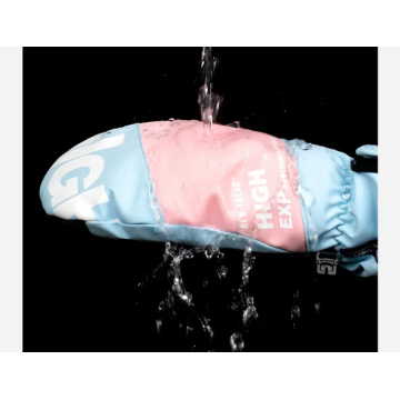 Ski Gloves Women Wear-Resistant Waterproof