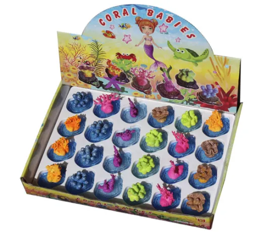 Transparent bottom coral