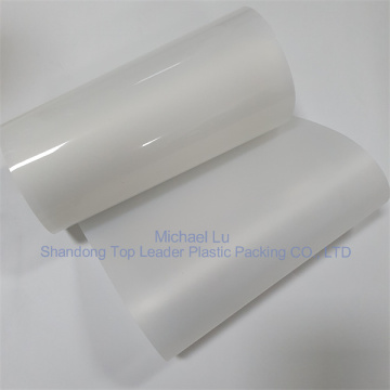 0.5mm warna alami pp blister sheet kemasan thermoforming