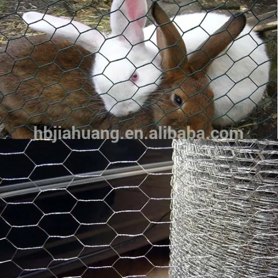 Galvanized anping hexagonal mesh /chicken mesh