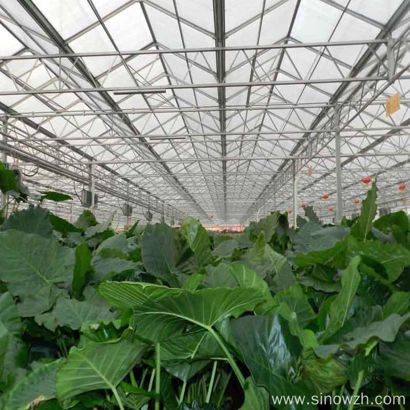 Design agriculturial glass steel structure greenhouse