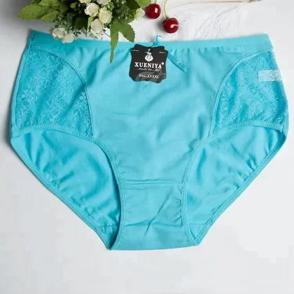 High End health underwear sexy lace panties