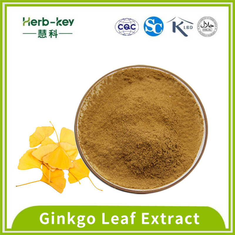 5% d'extrait de feuilles de ginkgo acide ginkgo