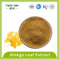 Extrato de folha de ginkgo contém 24% de compostos flavonóides