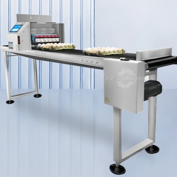 High Quality Inkjet Egg Stamping Printer Machine