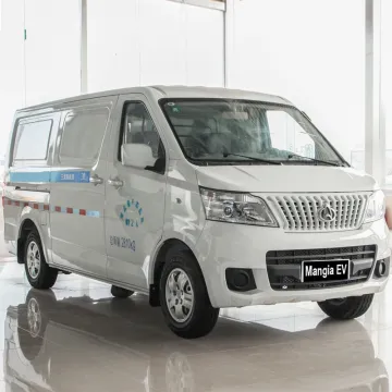 Chang′an 2023 High-Speed Electric Truck with 2 People Chinese Adult Electric Car