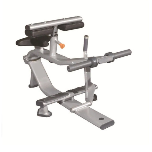 Commercial Gym Exercise Equipment Glute Ham Bench